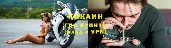 дурь Пестово