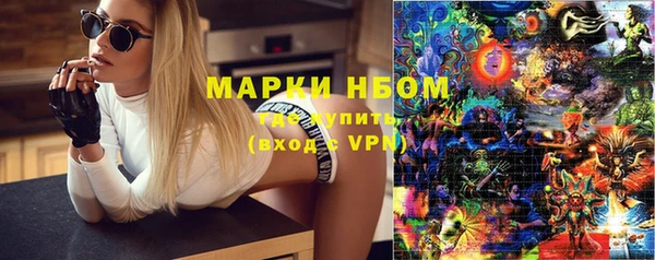 дурь Пестово
