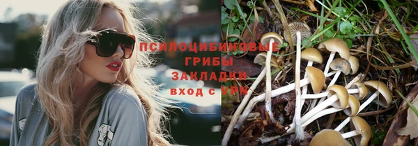 дурь Пестово