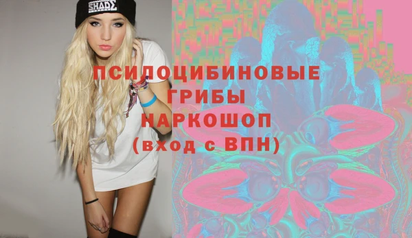 дурь Пестово