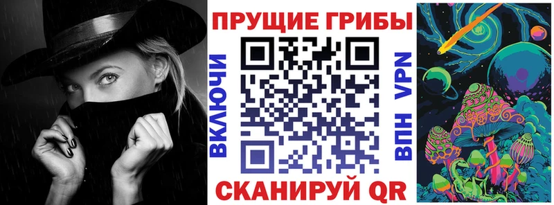 ссылка на мегу маркетплейс  магазин  наркотиков  Мурино  Псилоцибиновые грибы ЛСД 